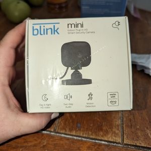Blink mini INDOOR